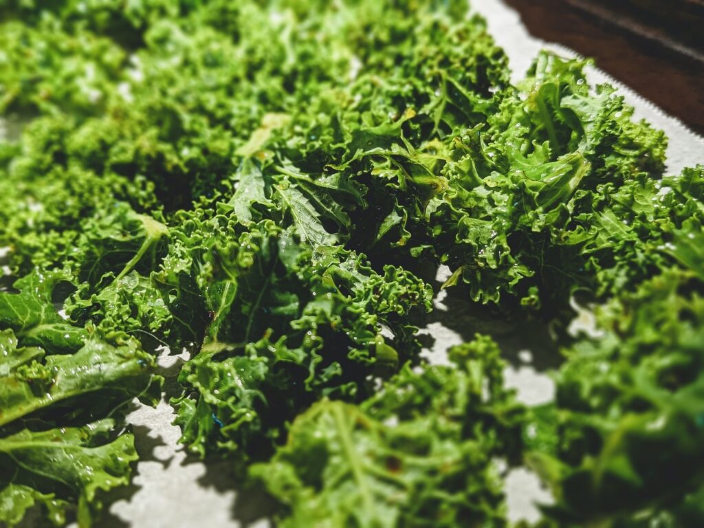 green lettuce leaves for a fresh pickled lettuce