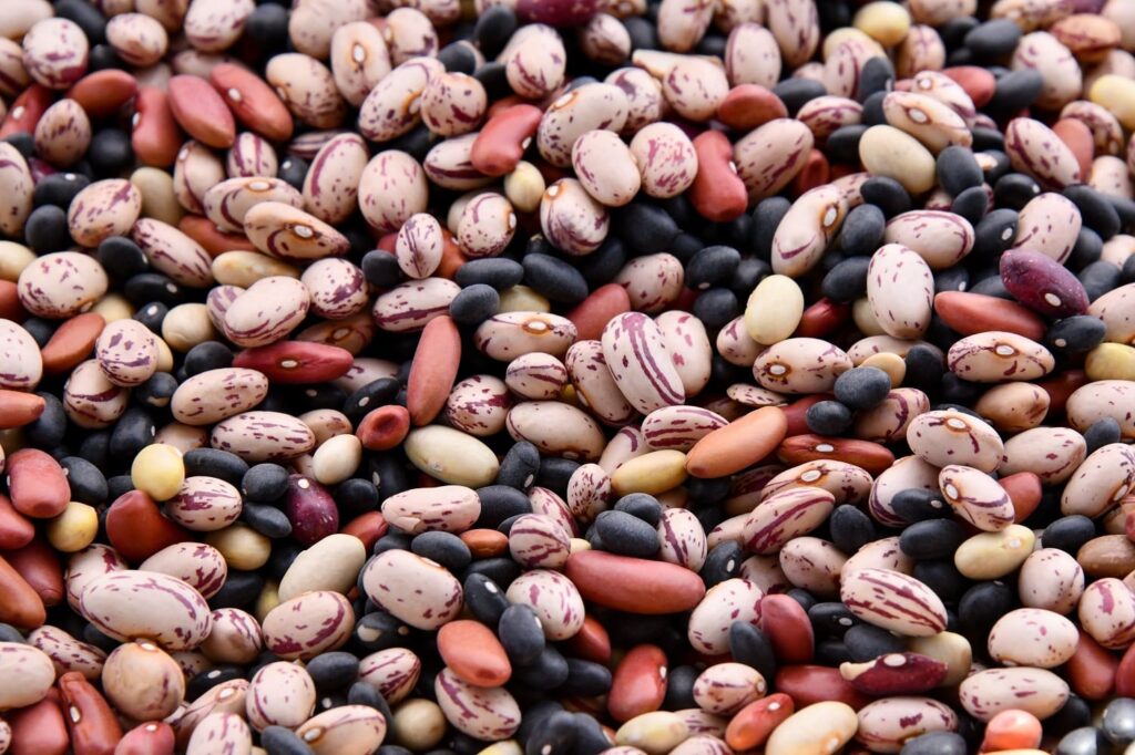 dry beans for cooking