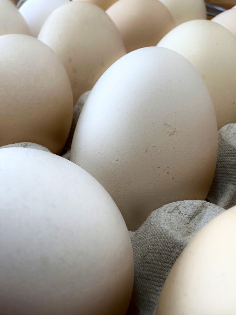 eggs used for a quick and easy homemade mayonnaise