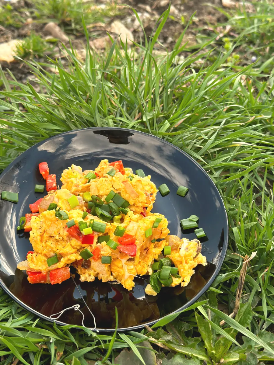 scrambled eggs with veggies photographed on grass